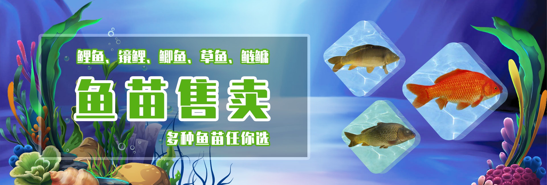 &#21315;&#20159;&#23448;&#32593;&#45;&#21315;&#20159;&#65288;&#20013;&#22269;&#65289;&#19968;&#31449;&#24335;&#26381;&#21153;&#23448;&#32593;