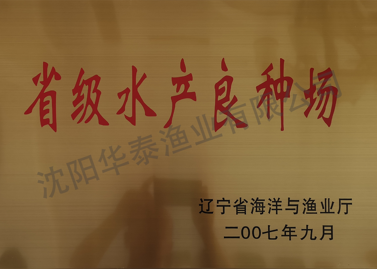 &#21315;&#20159;&#23448;&#32593;&#45;&#21315;&#20159;&#65288;&#20013;&#22269;&#65289;&#19968;&#31449;&#24335;&#26381;&#21153;&#23448;&#32593;