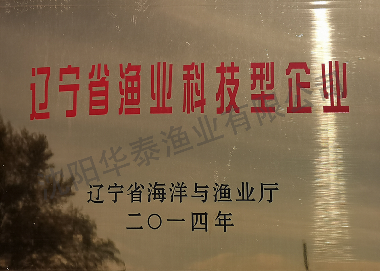 &#21315;&#20159;&#23448;&#32593;&#45;&#21315;&#20159;&#65288;&#20013;&#22269;&#65289;&#19968;&#31449;&#24335;&#26381;&#21153;&#23448;&#32593;